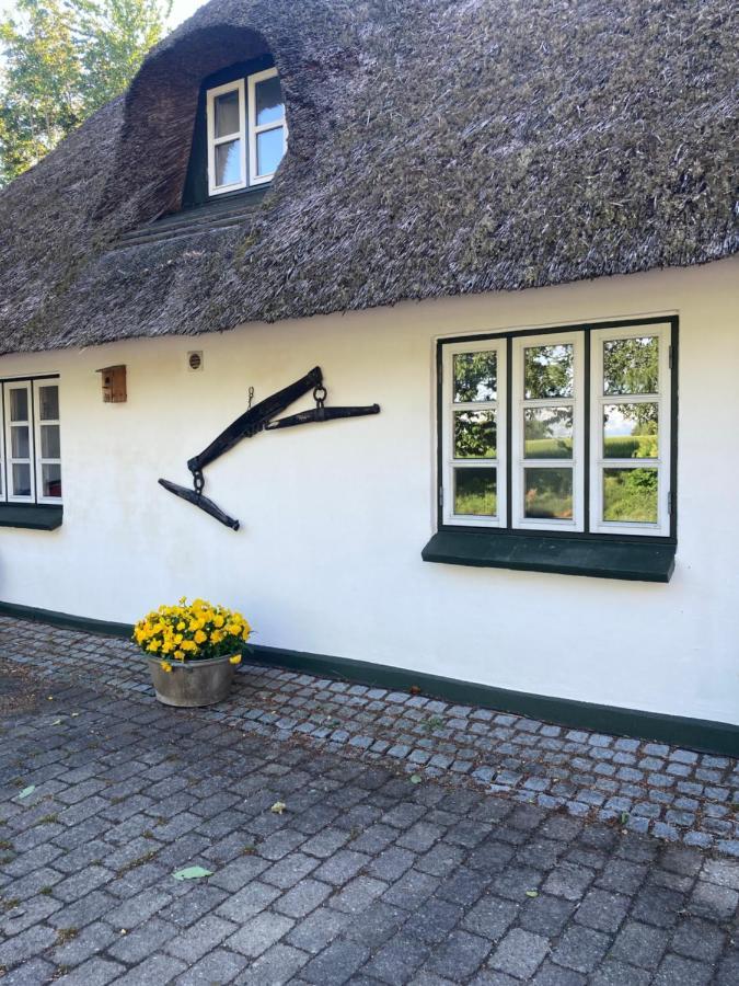 Skovlyset'S B&B Юлсминде Екстериор снимка