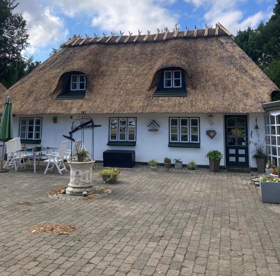 Skovlyset'S B&B Юлсминде Екстериор снимка